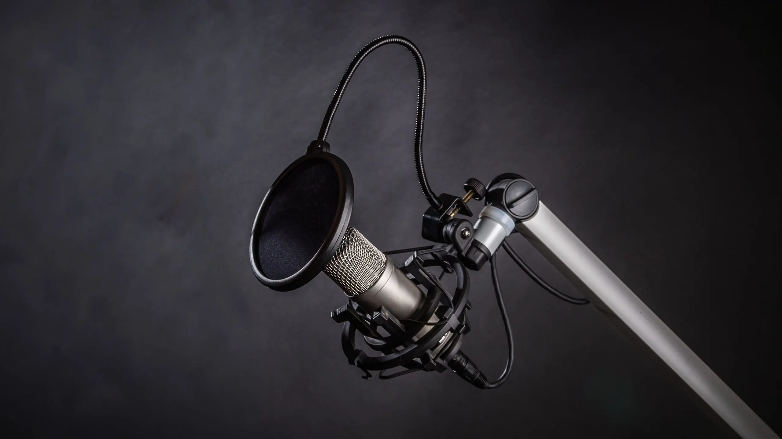 Microfoon voor Lorié Productions